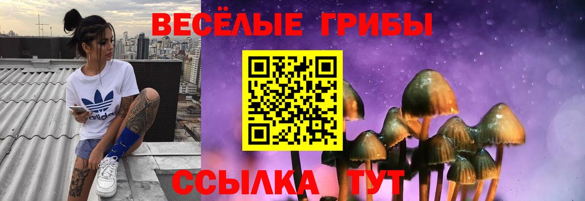 купить наркоту  Галлюциногенные грибы Magic Shrooms  Вход с VPN  Галлюциногенные грибы мухоморы  Кольчугино 